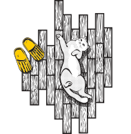 Наши проекты Наши проекты